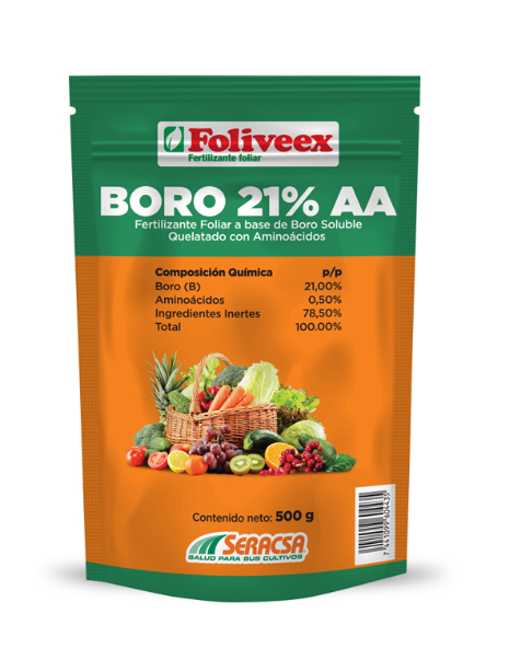 BORO 21